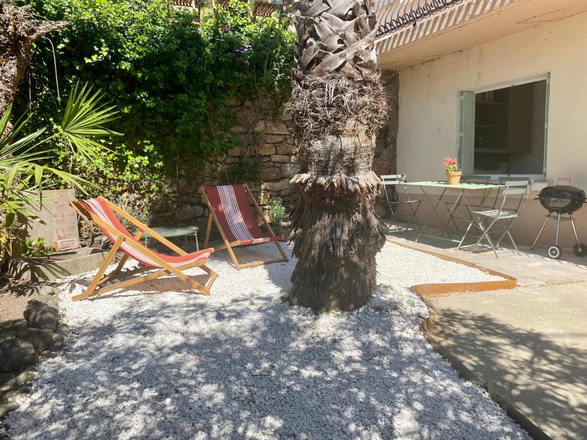 Gite Le Palmier - Perfectly Located Cosy Studio With Private Garden Puissalicon Exteriör bild