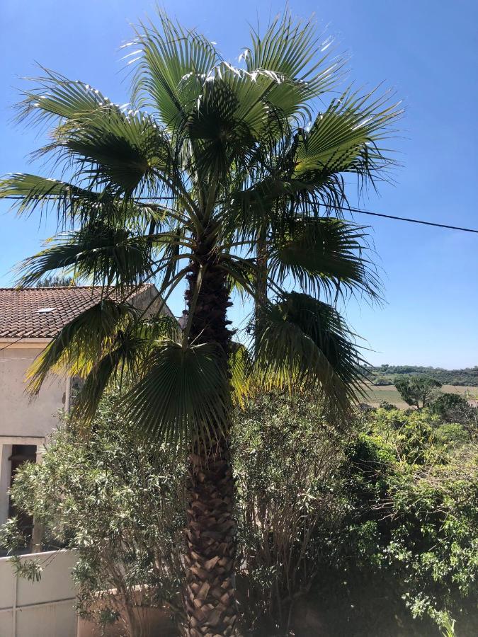 Gite Le Palmier - Perfectly Located Cosy Studio With Private Garden Puissalicon Exteriör bild