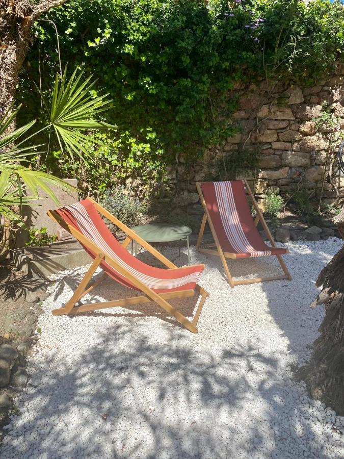 Gite Le Palmier - Perfectly Located Cosy Studio With Private Garden Puissalicon Exteriör bild